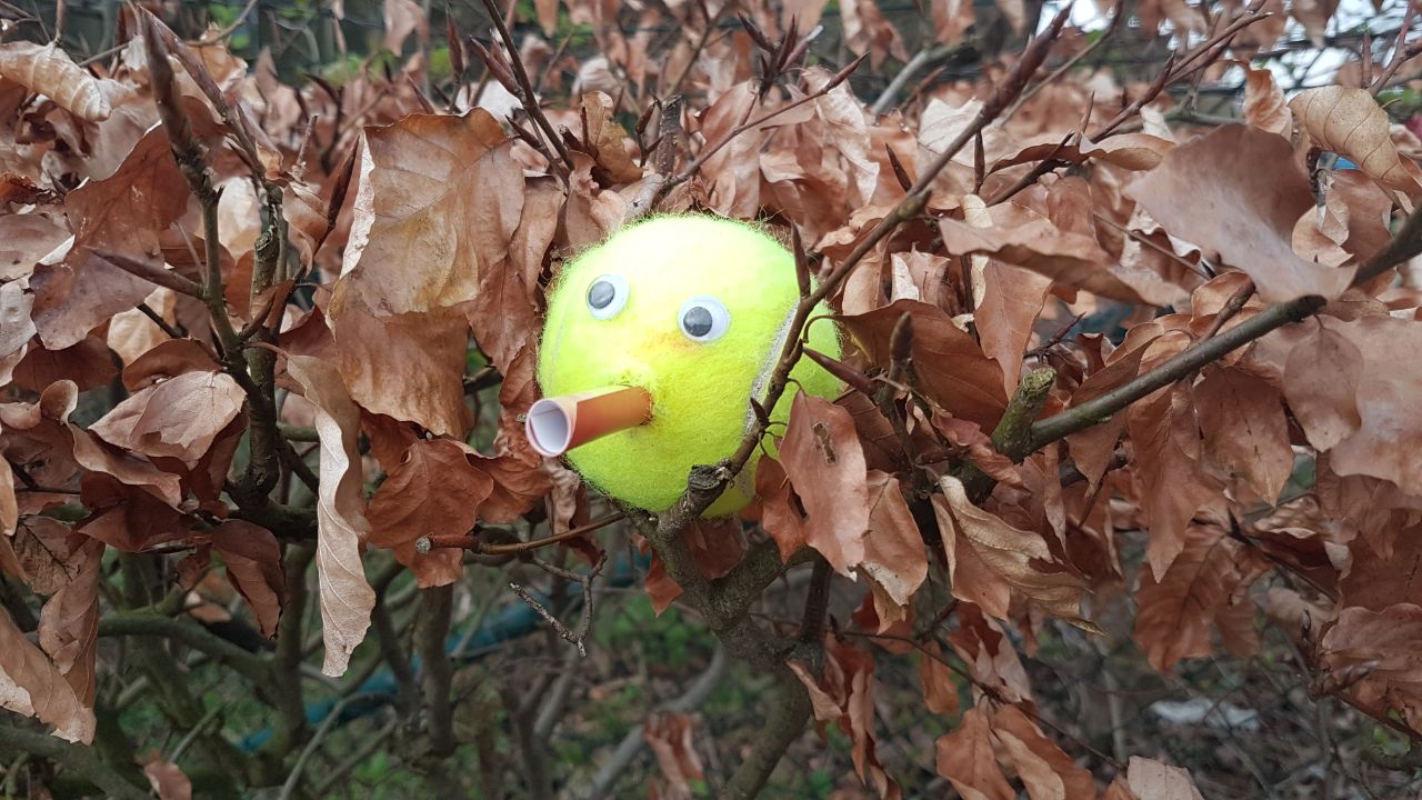 d0af1315-cb75-49a8-8981-b73cb1076510